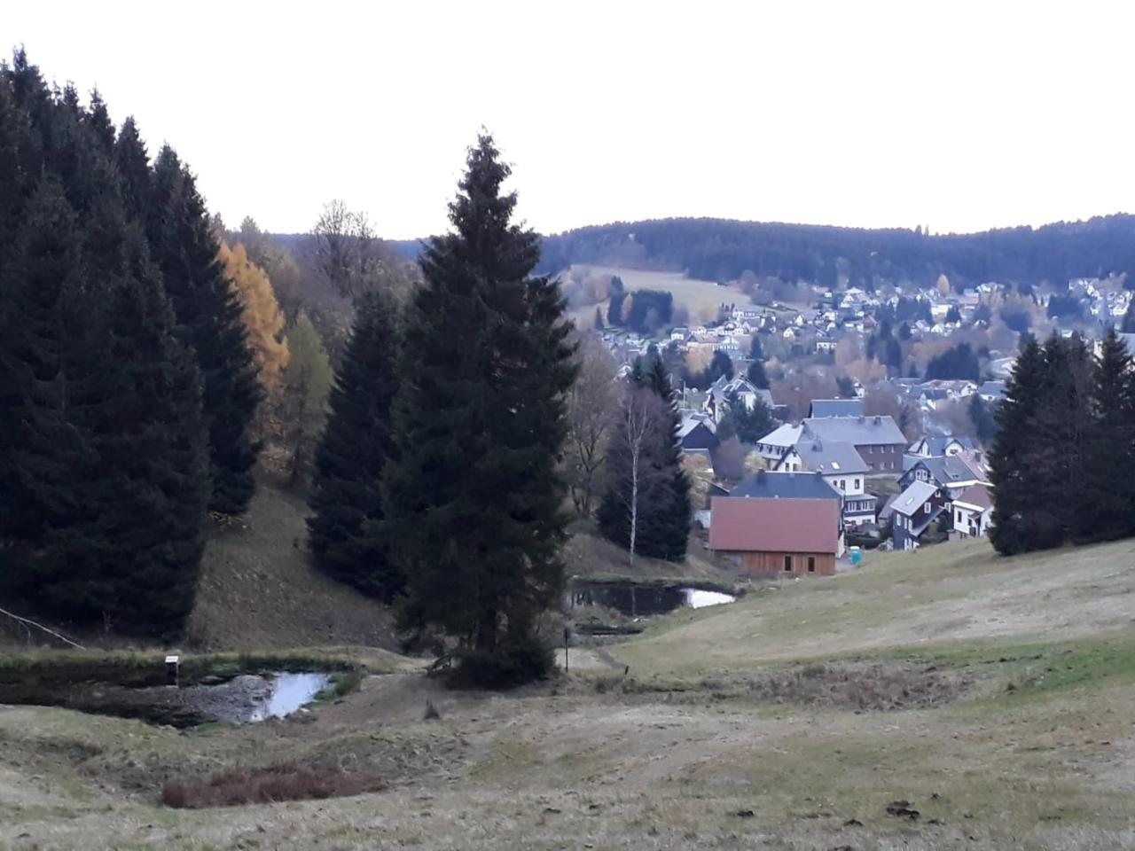 Pension Waldidyll Stutzerbach Экстерьер фото